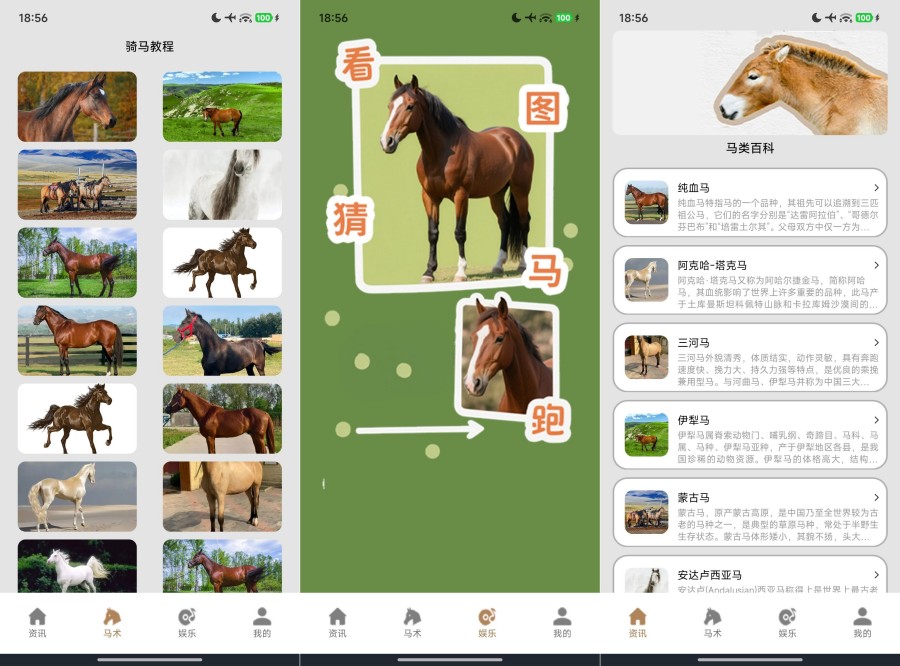 小马模拟器2.1去广告版 小马模拟器趣味多多